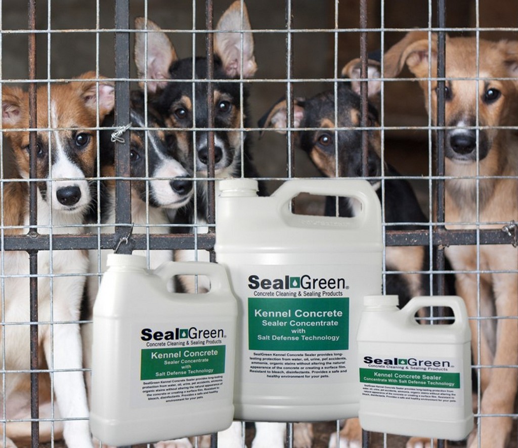 How long is shelf-life of diluted sealer if not applied immediately?